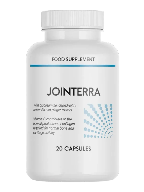 Jointerra